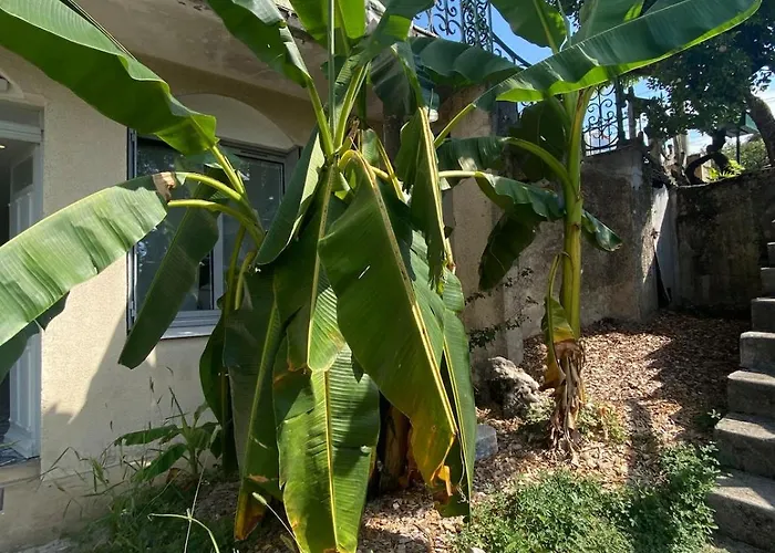 O Ma Belle Demeure - Parking Prive